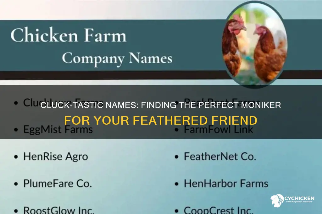 what is the best name for a chicken