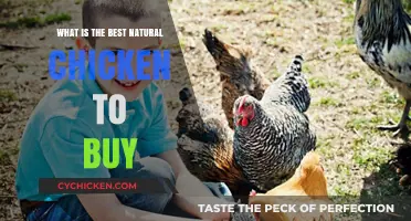 Choosing the Best Natural Chicken: A Buyer's Guide to Quality Poultry