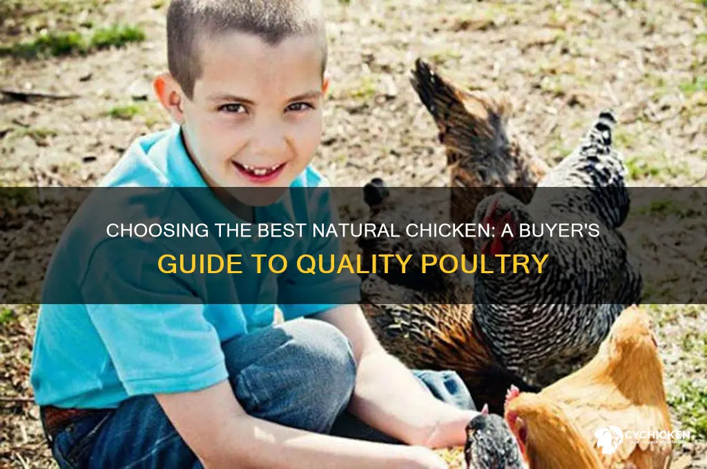 what is the best natural chicken to buy