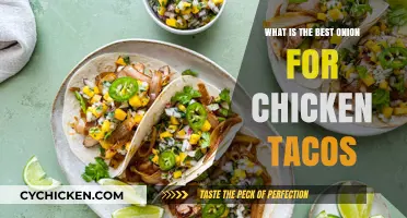 Perfect Chicken Tacos: Choosing the Best Onion for Flavor and Texture