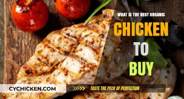 Top Organic Chicken Brands: A Guide to Healthy, Sustainable Choices