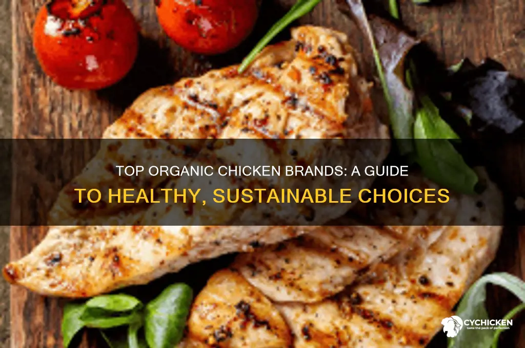 what is the best organic chicken to buy