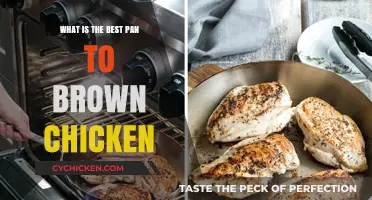 Perfectly Browning Chicken: Top Pan Picks for Golden, Crispy Skin