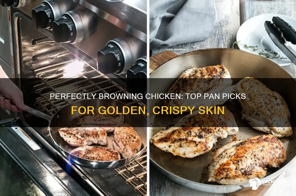 what is the best pan to brown chicken