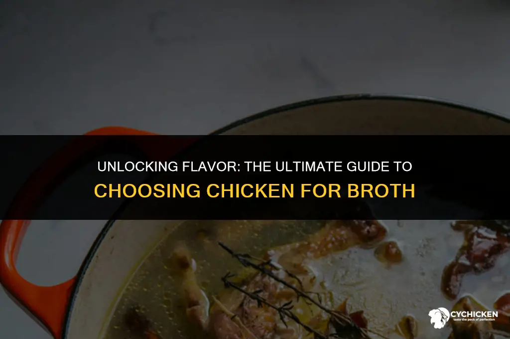 what is the best part of chicken for chicken broth