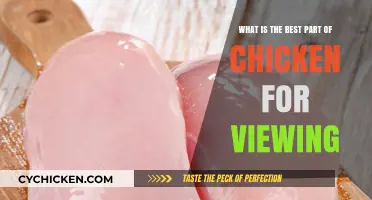 Best Chicken Cuts for a Delicious View