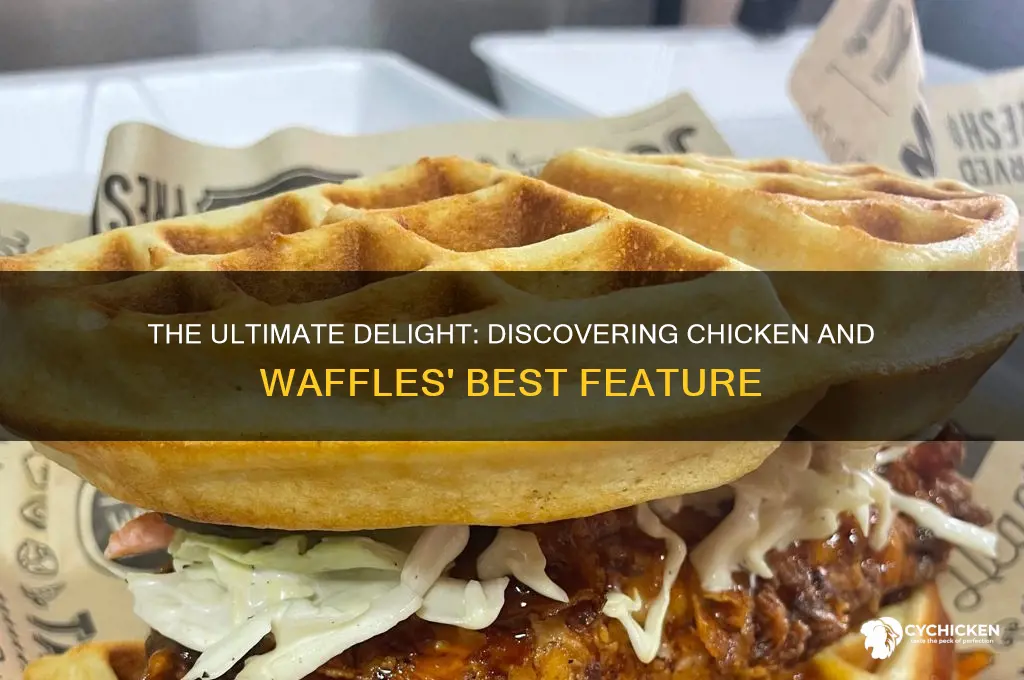 what is the best part of chicken waffles
