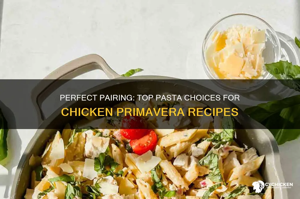 what is the best pasta for chicken primavera