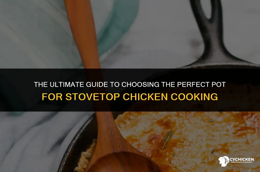 what is the best pot to cook chicken on stovetop