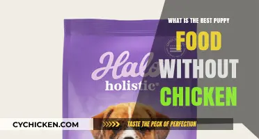 Top Chicken-Free Puppy Food Options for Healthy Growth