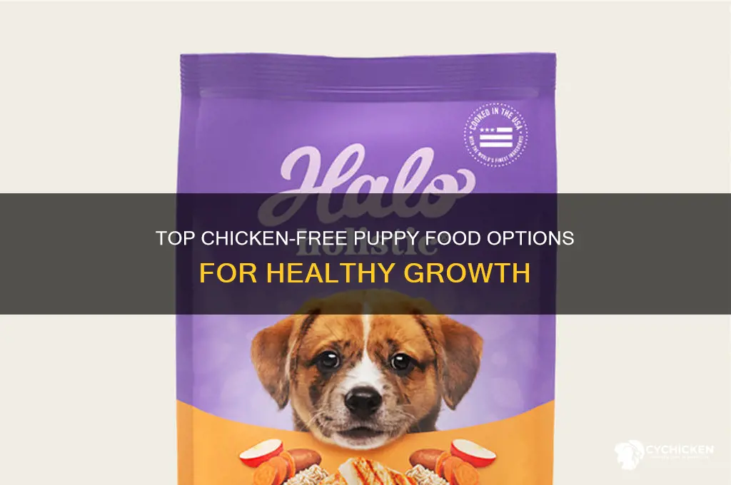 what is the best puppy food without chicken