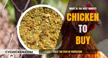Choosing the Best Quality Chicken: A Buyer's Guide to Top Picks