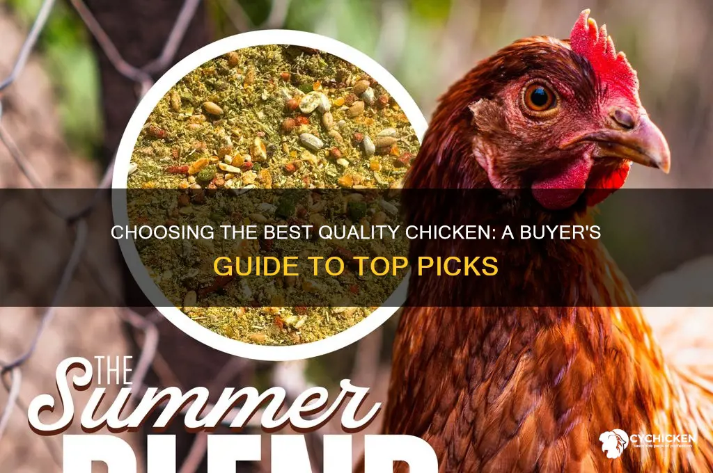 what is the best quality chicken to buy