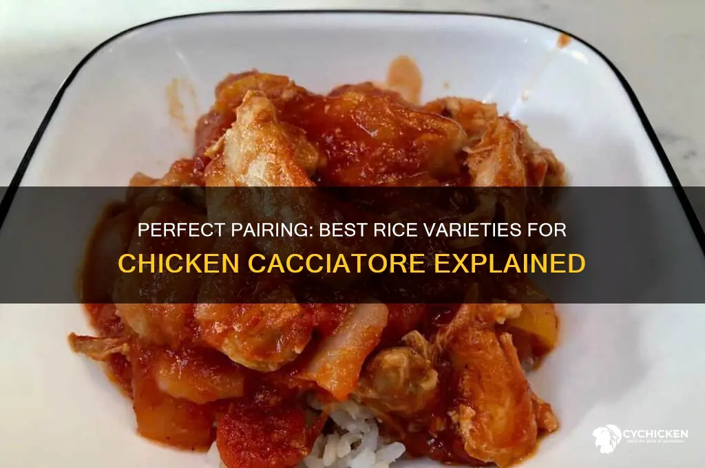what is the best rice for chicken cacciatore