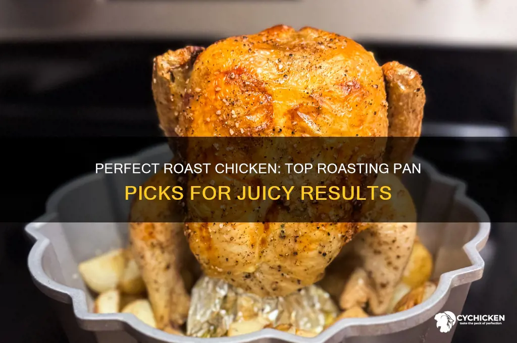 what is the best roasting pan for chicken
