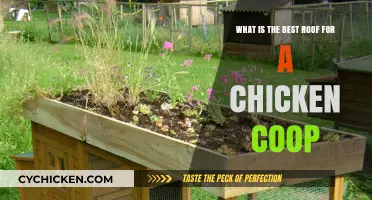 Choosing the Perfect Roof for Your Chicken Coop: A Comprehensive Guide