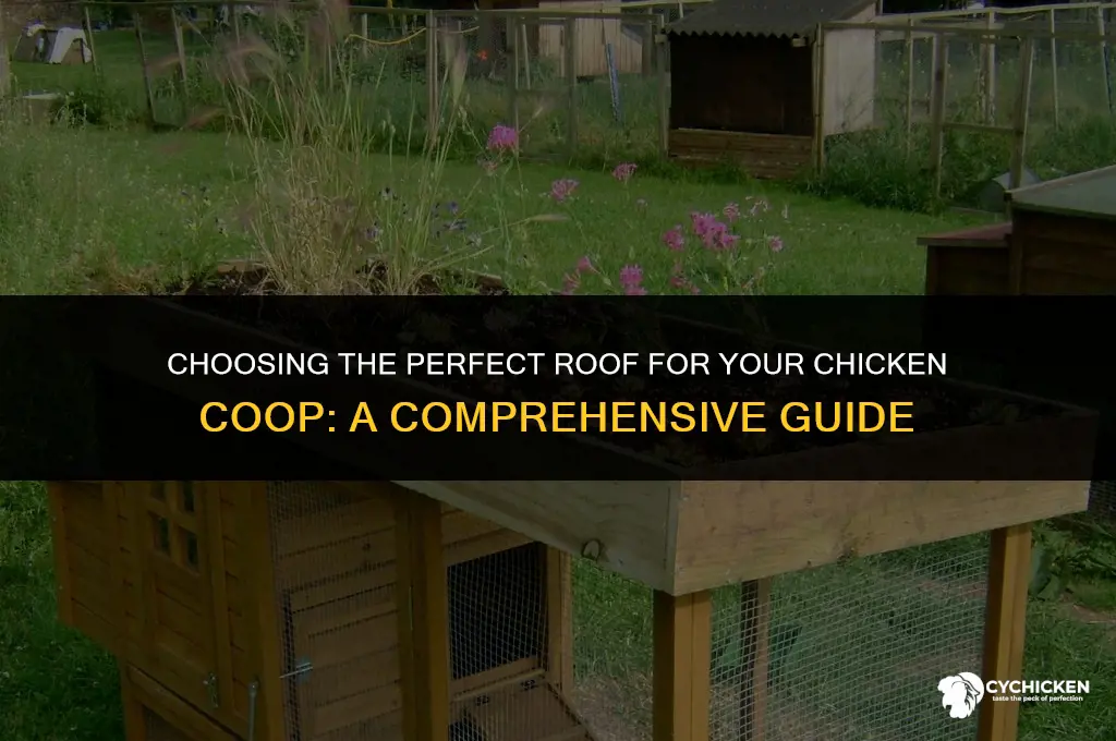 what is the best roof for a chicken coop
