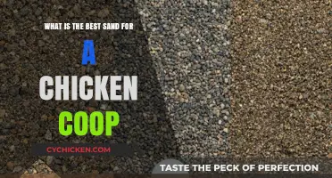 Choosing the Perfect Sand for Your Chicken Coop: A Comprehensive Guide