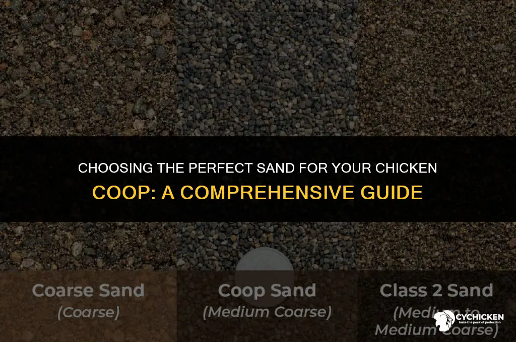 what is the best sand for a chicken coop