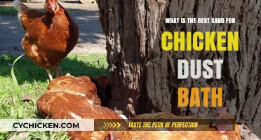 Sand Selection for Chicken Dust Baths