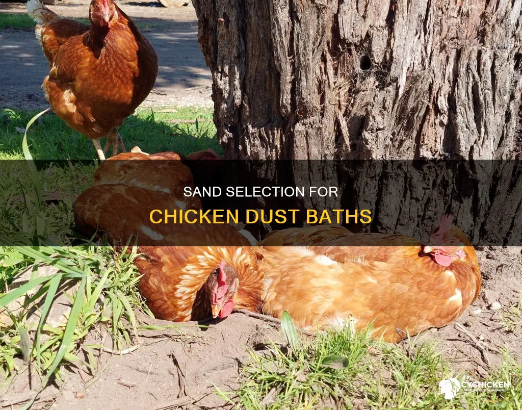 what is the best sand for chicken dust bath