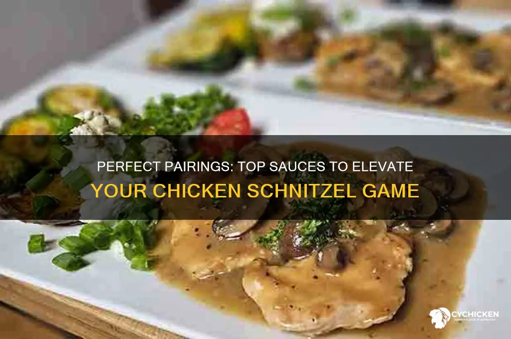 what is the best sauce for chicken schnitzel