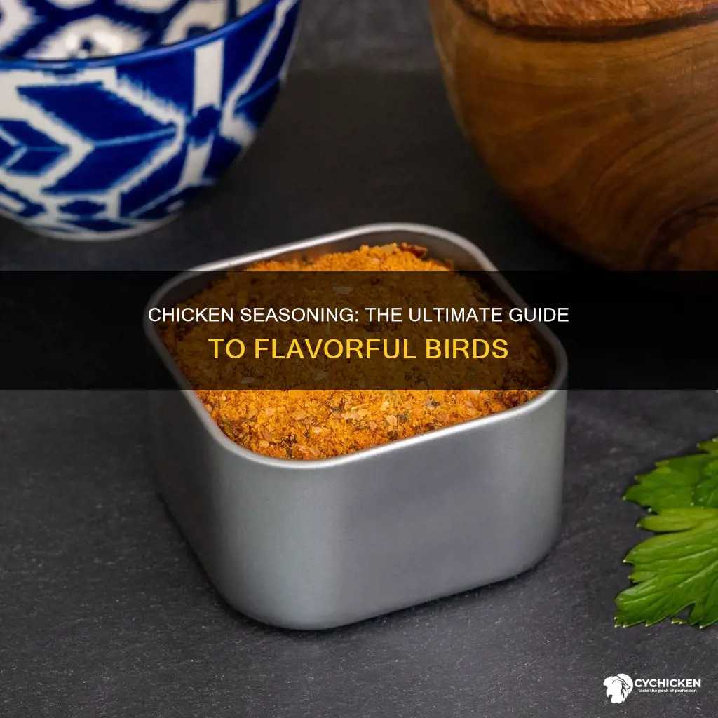 what is the best seasoning to put on chicken