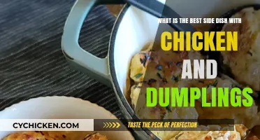 Dumplings' Perfect Partner: Best Side Dish Ideas