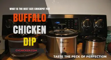 Best Crockpot Size for Buffalo Chicken Dip