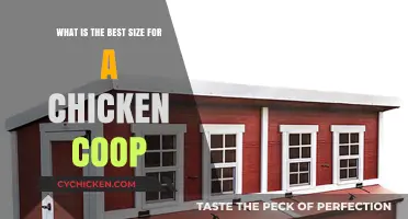 Optimal Space: Designing the Perfect Chicken Coop Size