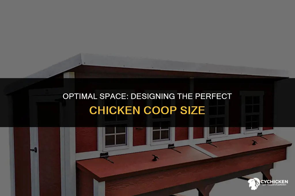 what is the best size for a chicken coop