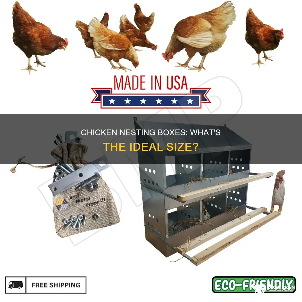 what is the best size for chicken nesting boxes