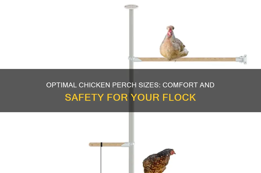what is the best size for chicken perches