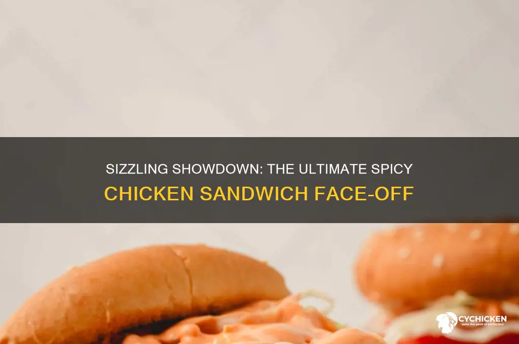 what is the best spicy chicken sandwich