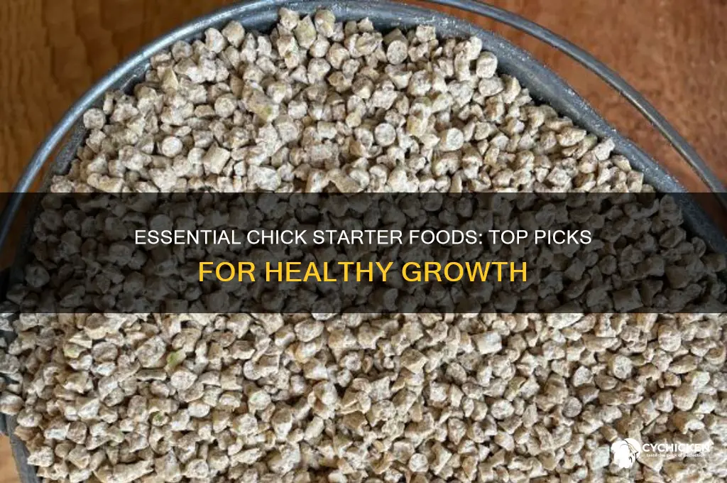 what is the best starter food for chicks