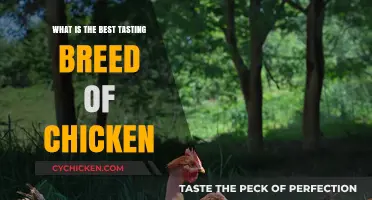 Discover the Most Delicious Chicken Breed for Your Table