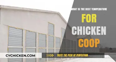 Optimal Chicken Coop Temperature: A Guide for Happy Hens
