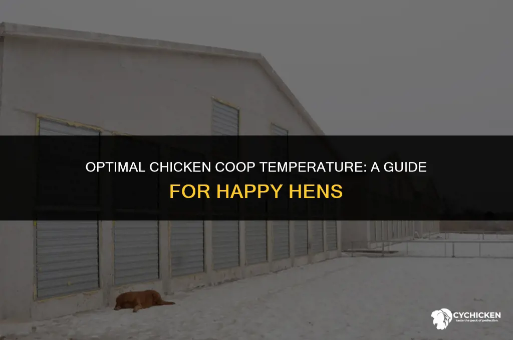 what is the best temperature for chicken coop