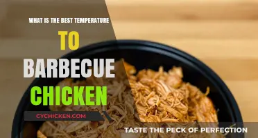 Perfect BBQ Chicken: Ideal Temperature for Juicy, Flavorful Results