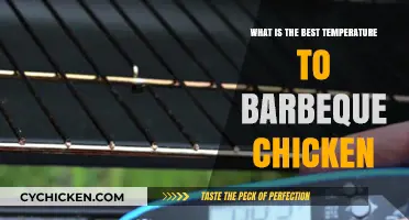 Perfect BBQ Chicken: Ideal Temperature for Juicy, Flavorful Results