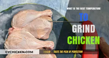 Optimal Chicken Grinding Temperature: A Guide to Perfect Poultry Processing