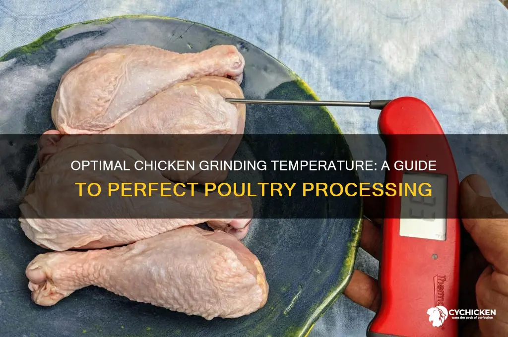 what is the best temperature to grind chicken