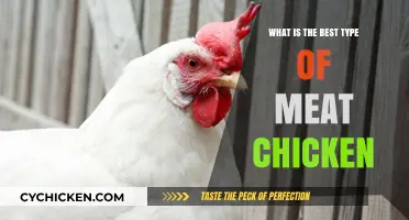 Discover the Best Meat Chicken Breed for Flavor and Texture