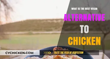 Discover the Top Vegan Chicken Alternative for Flavor and Texture