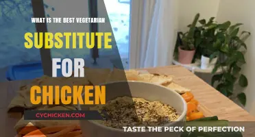 Top Vegetarian Chicken Alternatives: Flavorful, Healthy, and Meat-Free Options
