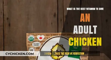 Vitamins for Adult Chickens: What's the Best Choice?