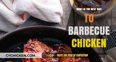 Mastering the Perfect Barbecue Chicken: Tips, Techniques, and Secrets