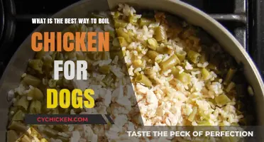Boiling Chicken for Dogs: The Best Method
