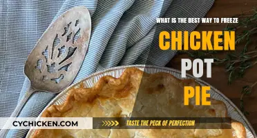 The Ultimate Guide to Freezing Chicken Pot Pie