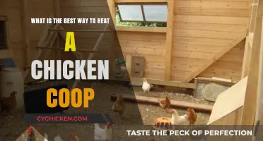 Cozy Coop: Optimal Heating Solutions for Your Feathered Friends